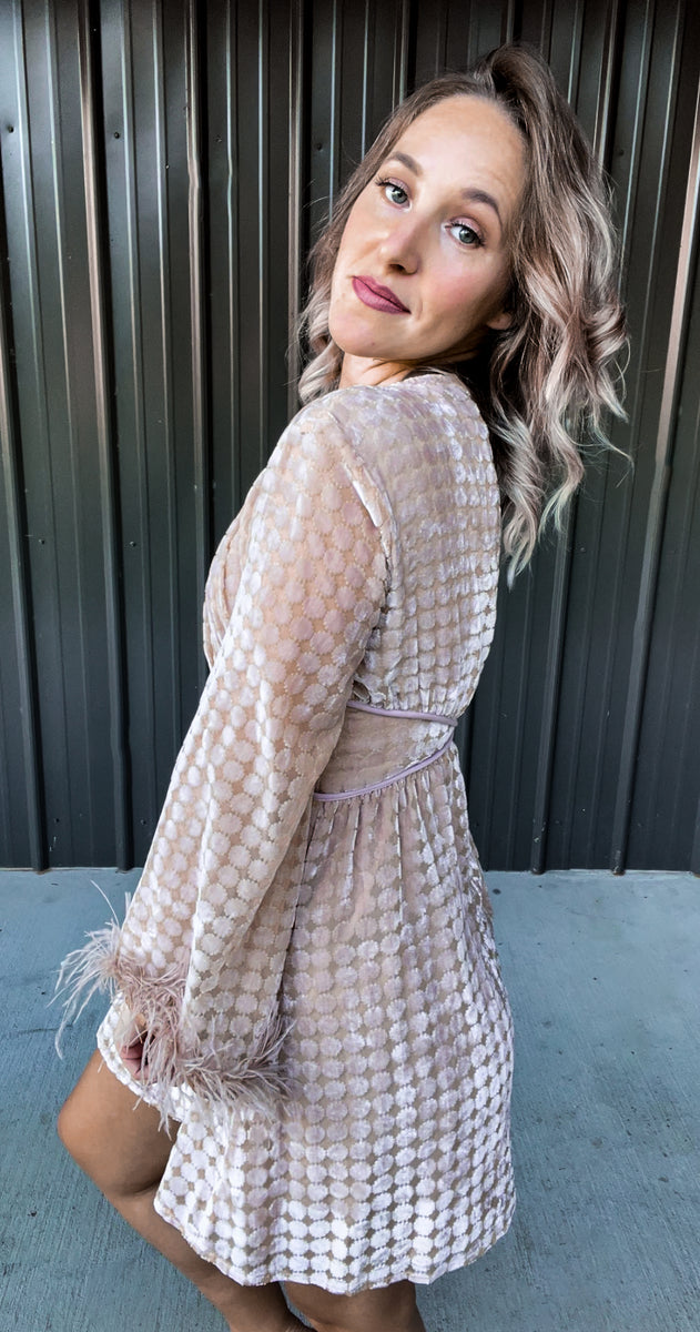 dusty pink velvet dress Dusty Pink Velvet Dress The Broken Levee Boutique