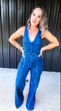 Chesney Denim Jumpsuit