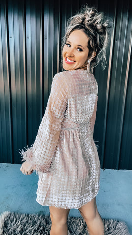 dusty pink velvet dress Nova Light Pink Velvet Tango Dress